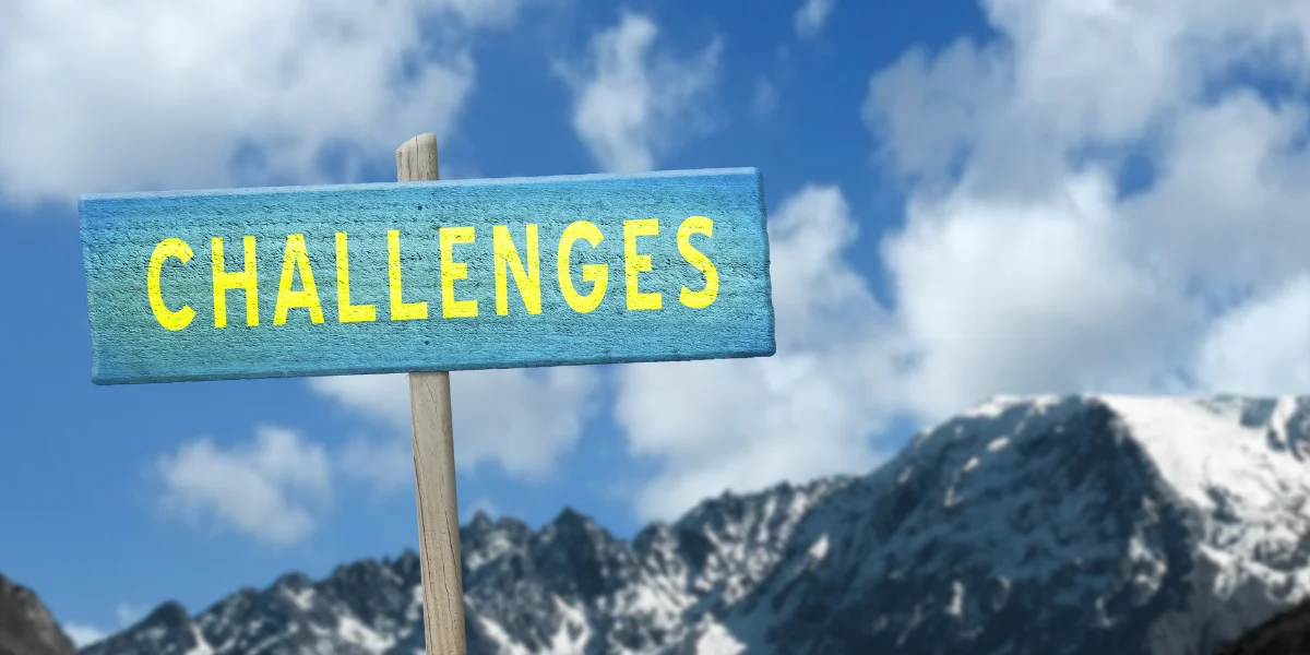 content writing jobs